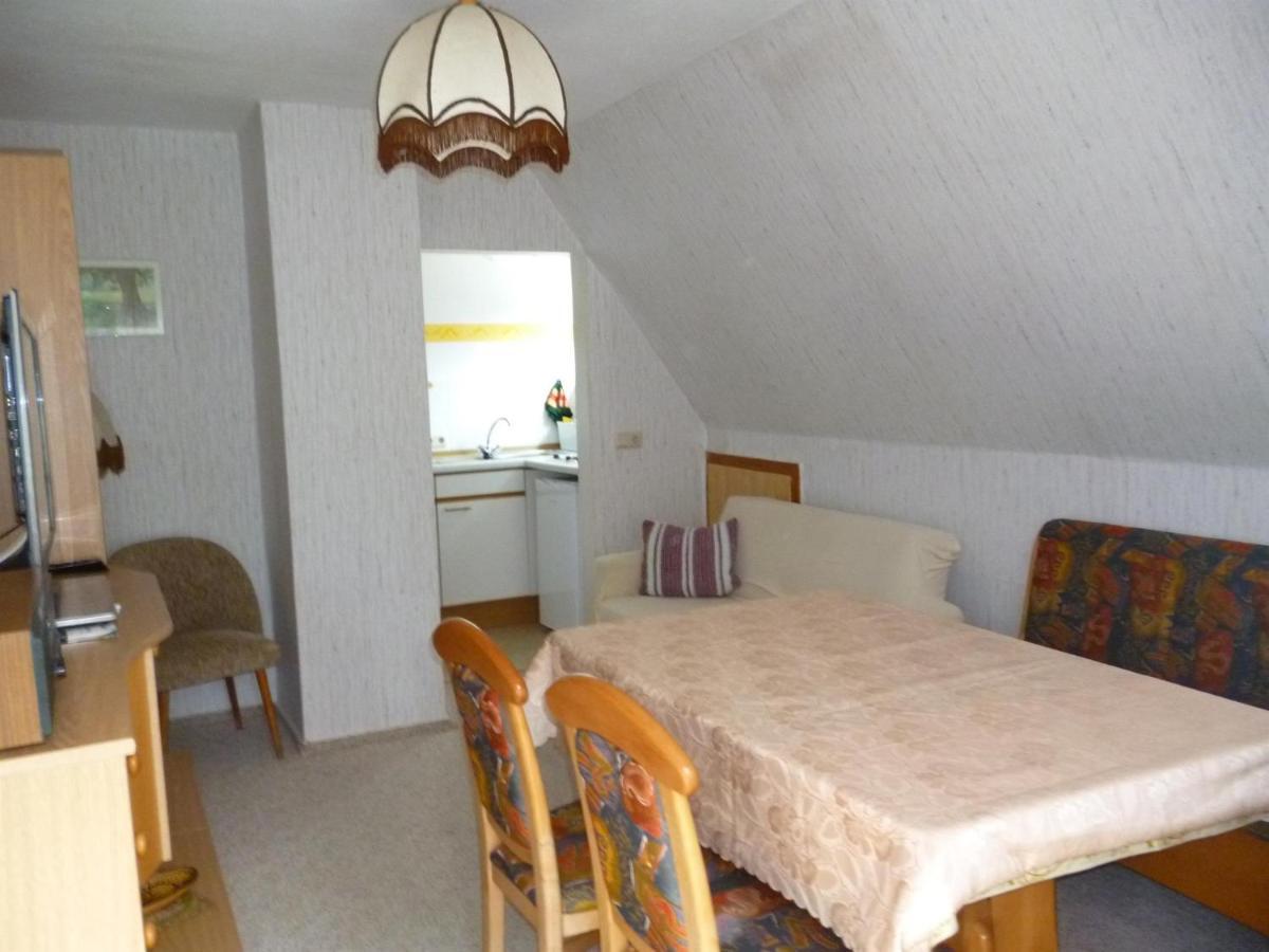 Ferienwohnung Haus Sonnenhuegel Altenberg Екстер'єр фото